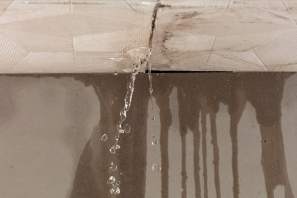 Professional Sewage Cleanup technician working in East Alton, IL